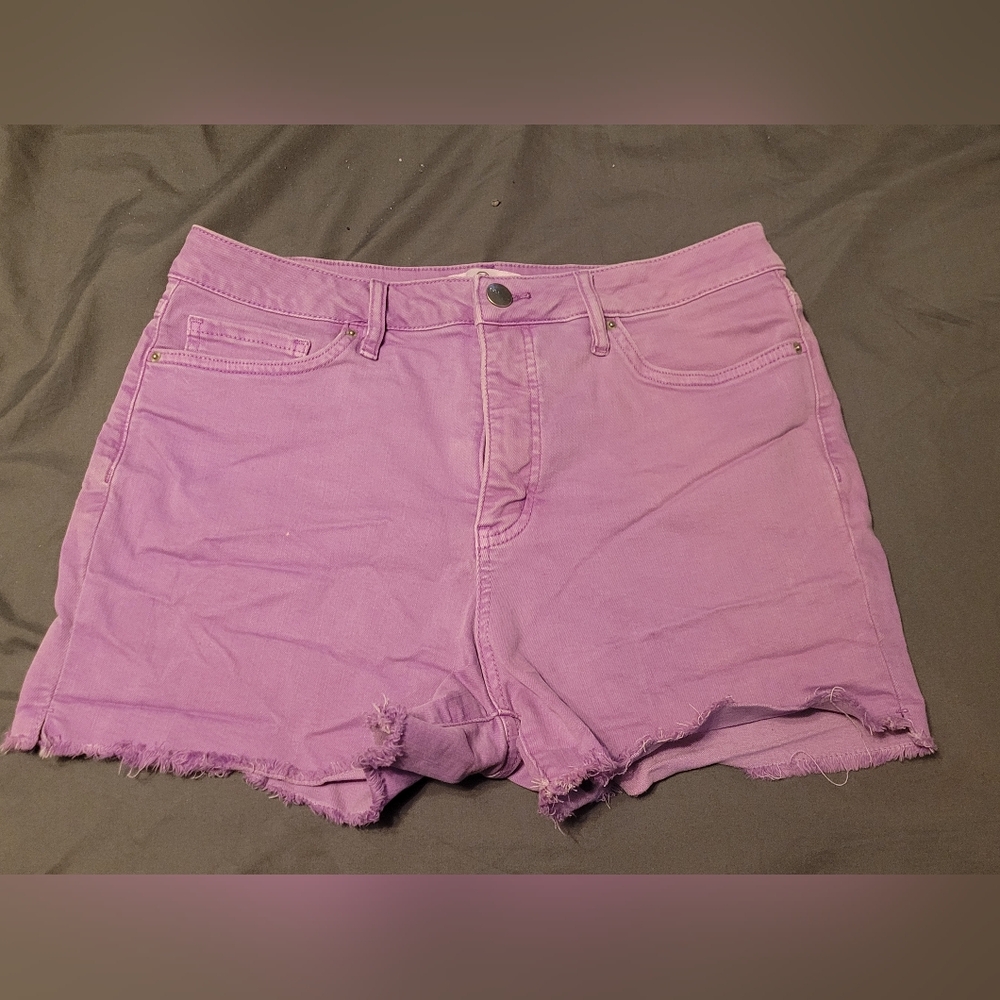 Women's Purple Lavendar Denim JeanShorts Boutique Size XL
